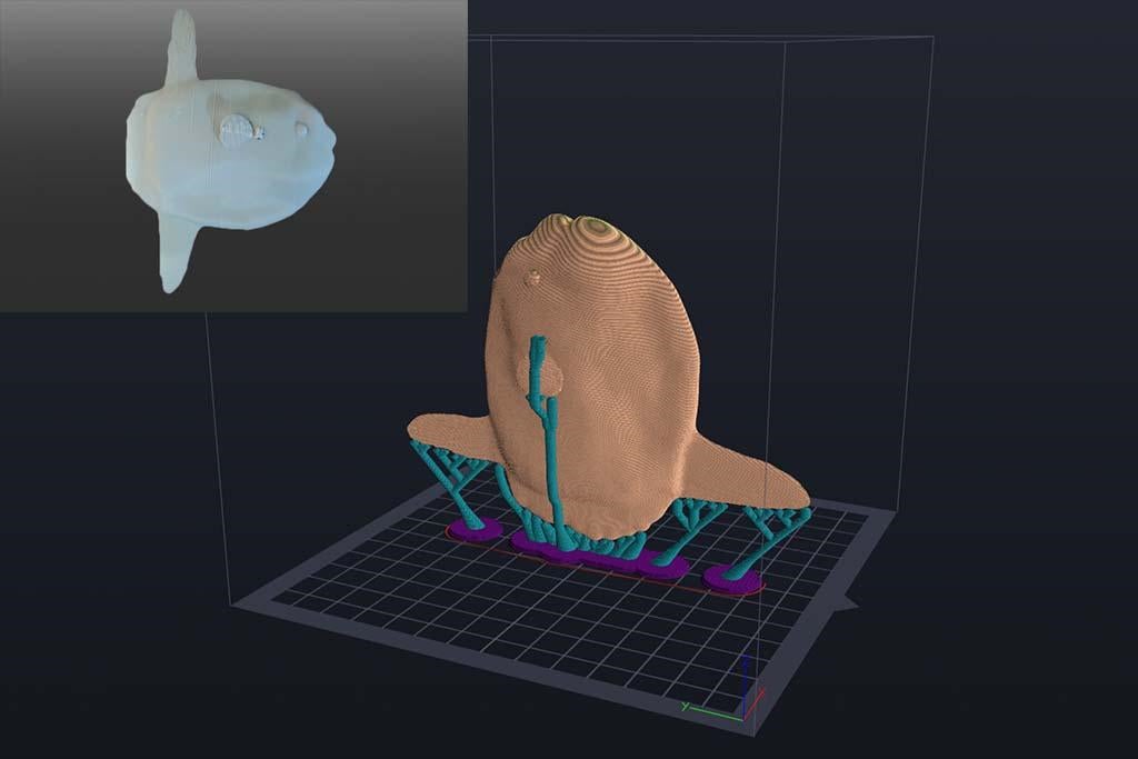 3Dモデリングでマンボウをつくってみよう！AkeruE（アケルエ）でワークショップを開催します【参加費無料】のサブ画像2_3Dモデリングのイメージ図