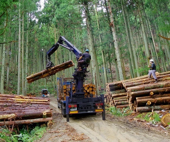【参加者募集】林業のことがちょっとわかる数日間「林業の仕事インターンシップ」を実施しますのサブ画像3_機械化が進む林業