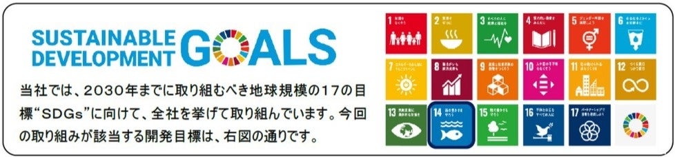 イオンモール常滑「TOKONAME ECO ACTION 2022 『海を守ろうプロジェクト』」開催のサブ画像6