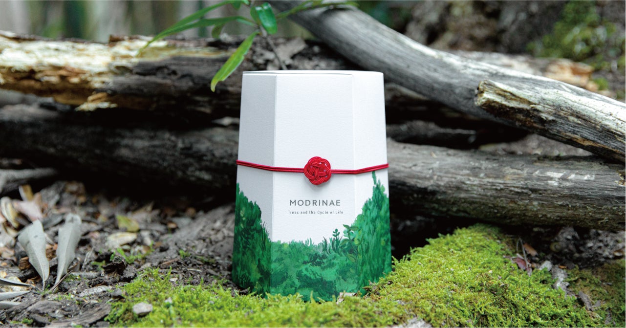 森林保全に直接貢献できる観葉植物『MODRINAE-戻り苗-』。昨年度に続き、販売が決定。どんぐりから植林の苗木を育てるプロダクト。のサブ画像3