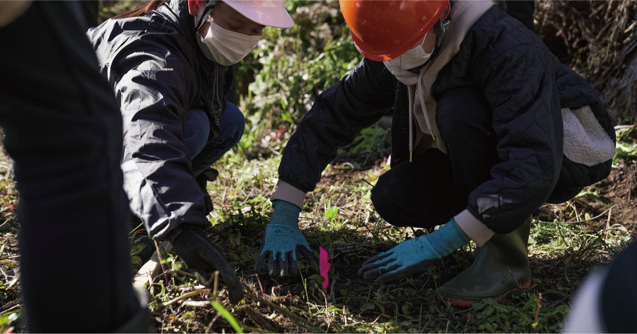 森林保全に直接貢献できる観葉植物『MODRINAE-戻り苗-』。昨年度に続き、販売が決定。どんぐりから植林の苗木を育てるプロダクト。のサブ画像5