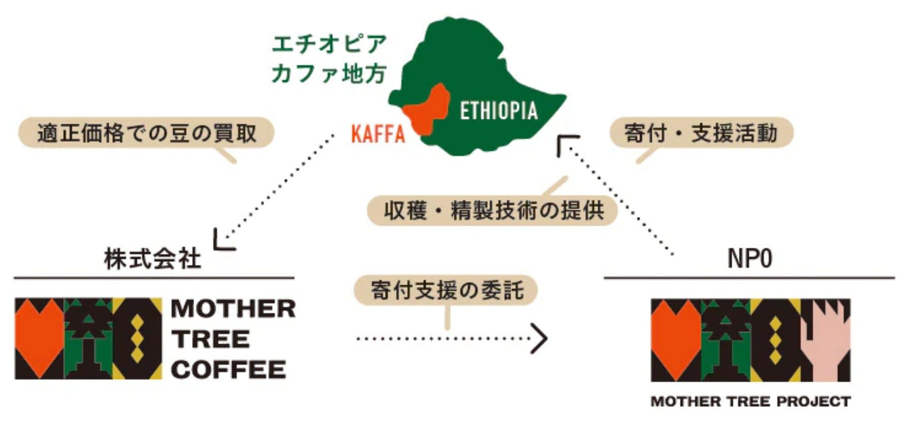 【日本初】コーヒーの原木(=MOTHER TREE)から生まれたコーヒー豆ブランド“MOTHER TREE COFFEE”がリリースのサブ画像3_本プロジェクトが実現する循環型の成長