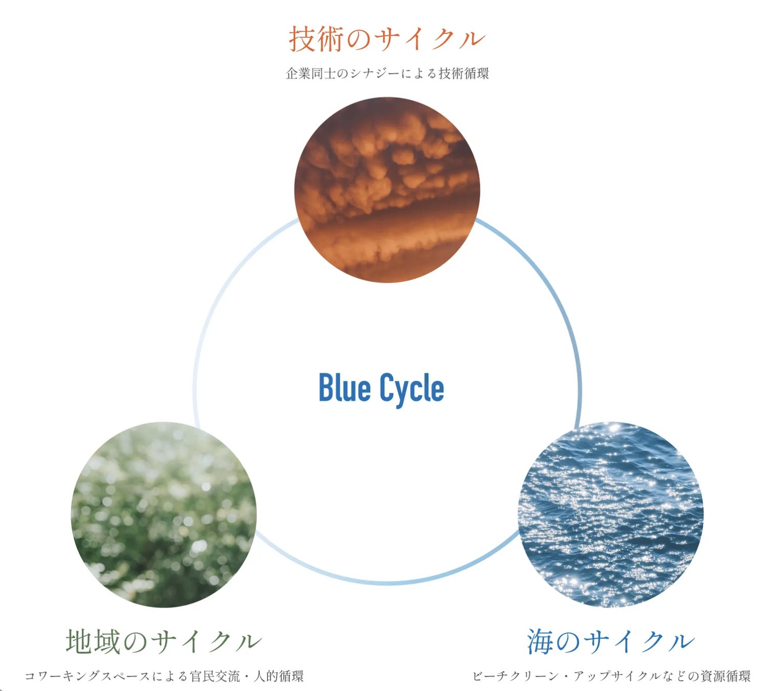 【気候変動を海辺から考える】環境課題解決型複合施設《CO Blue Center》が2023 年春、三重県志摩市に完成。コンセプトは「地球を想い、安らぎながら働く。」のサブ画像2