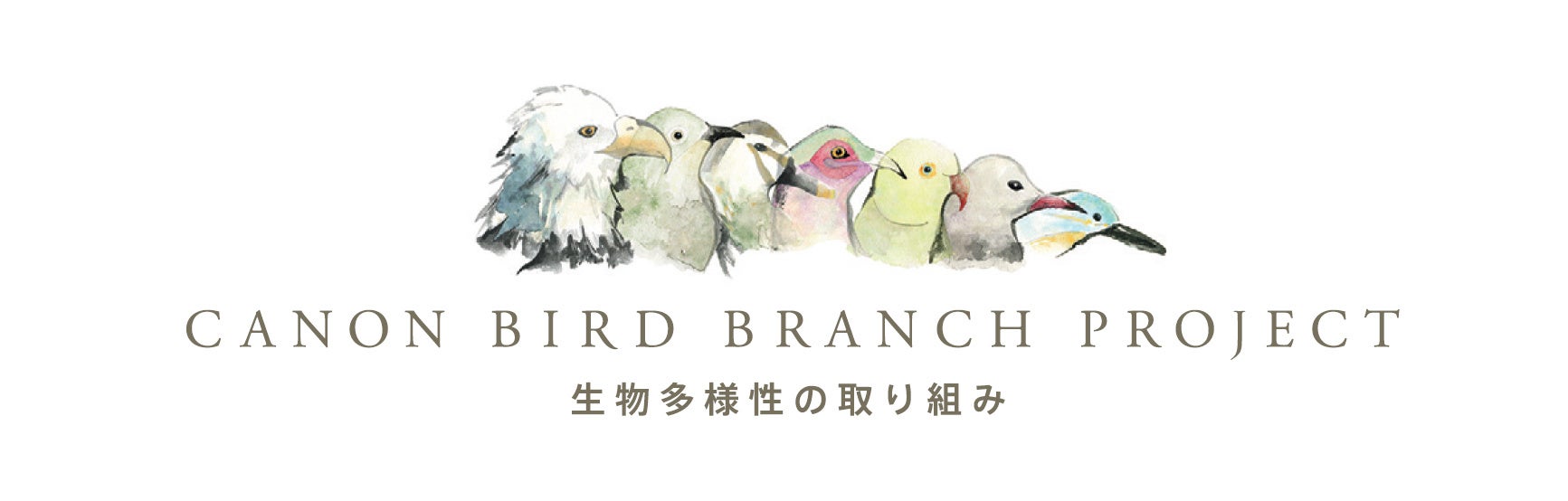 鳥をテーマとした生物多様性保全活動「キヤノンバードブランチプロジェクト」の紹介映像を公開！のサブ画像5