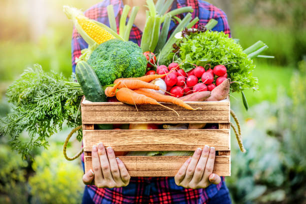 自然食品、地域食品の販路拡大を応援！掲載手数料０円のクラウドファンディング「For Good」がソーシャルグッドな食品を広めるキャンペーンを７月１２日に開始！のメイン画像