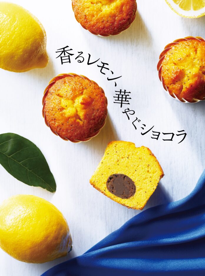 銀座ブールミッシュから期間限定プレミアム商品「レモントリュフケーキ」が新発売！のメイン画像