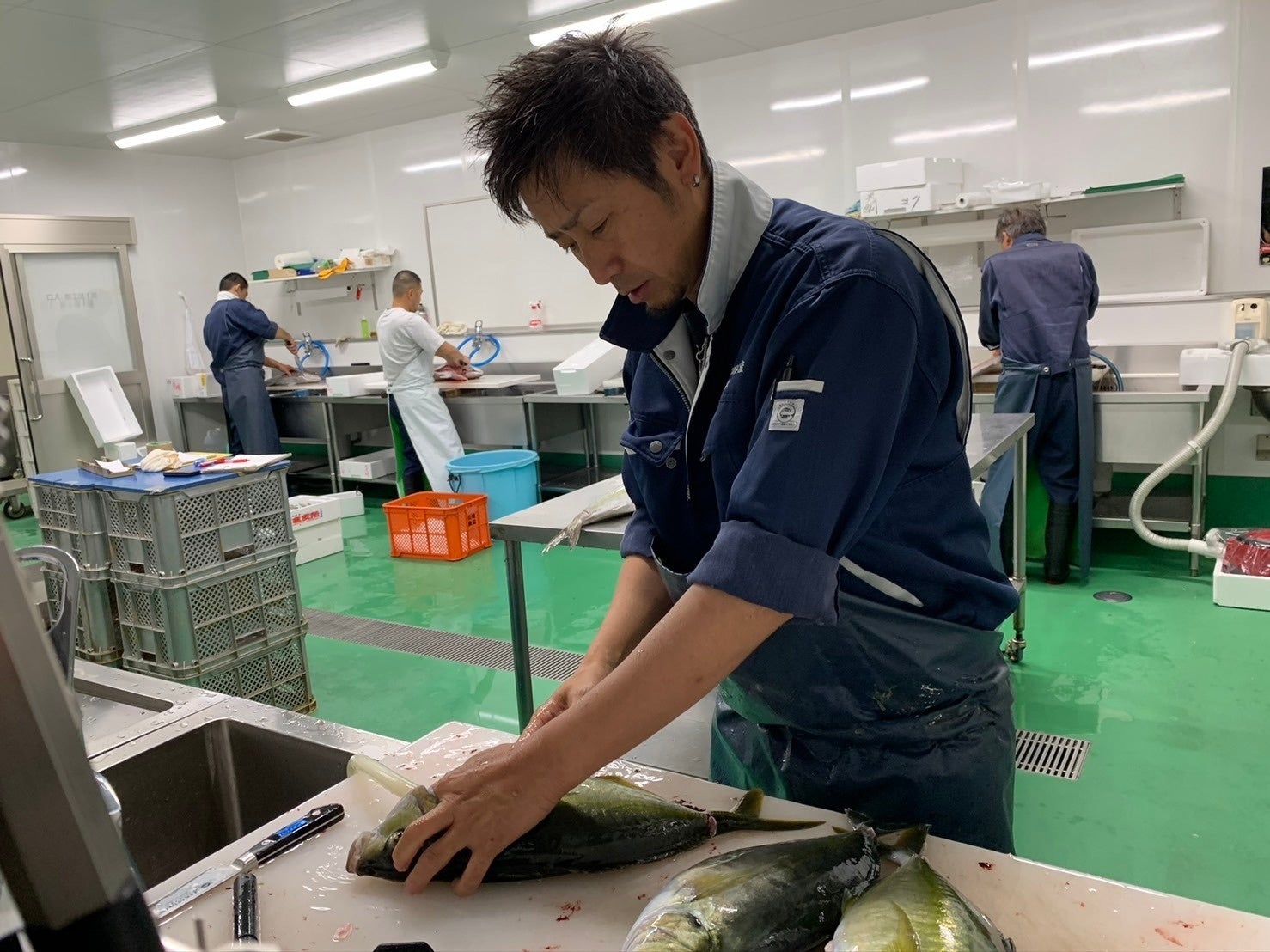 魚好きでは超有名！あの「津本式」の技術を3カ月の寿司職人養成学校で身に付けられる!!うま味アップ・長期保存可能の究極の血抜き!?業界注目の技術を習得し国内外で寿司職人として活躍できる人材を育成！のサブ画像1_魚を仕立てる津本氏