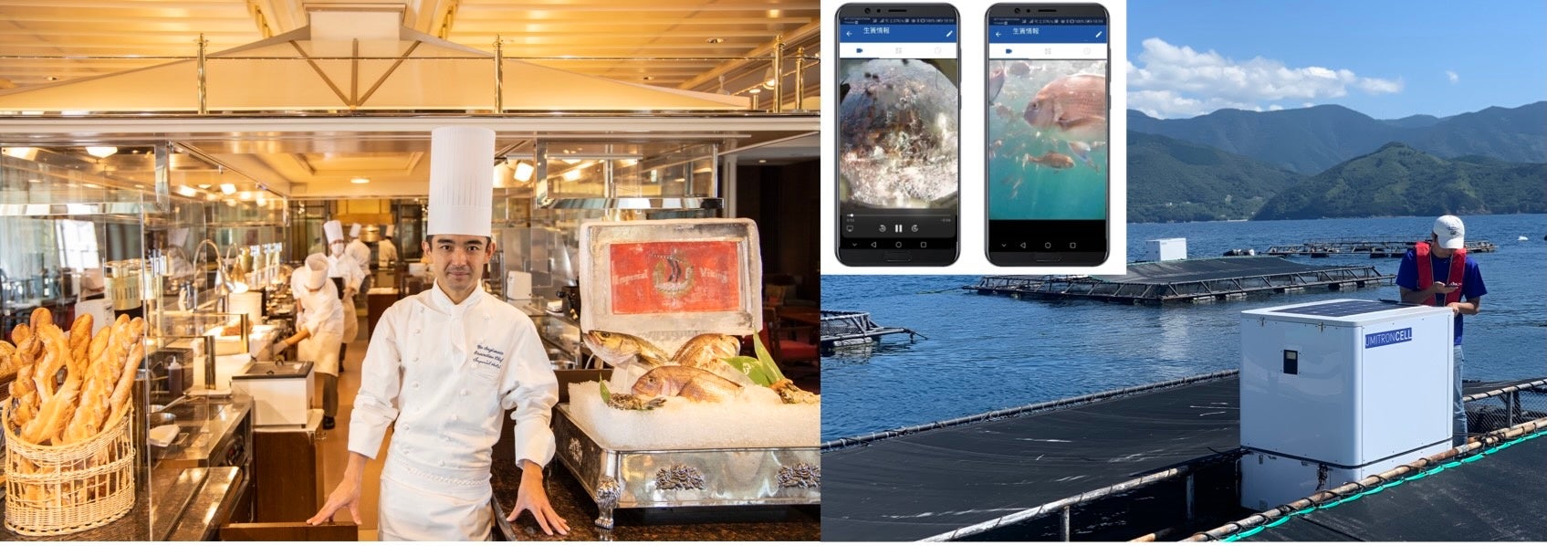 ウミトロン、帝国ホテルと協働し、親子で海の環境や持続可能性について学ぶ特別イベントを開催。-「杉本東京料理長と学ぶセミナー＆ランチコース」にて「うみとさち」ASC認証真鯛を提供-のサブ画像1