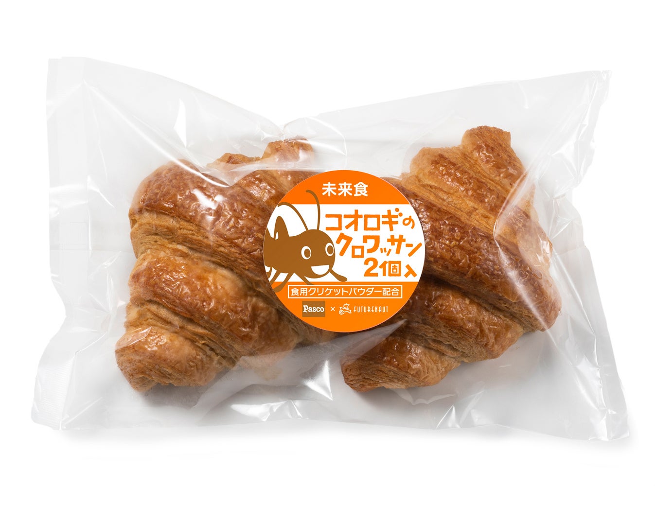 【夏休みの小学生向け】昆虫食の自由研究オンラインイベントを開催！食用コオロギが育てられてパンになるまでを見学　7月31日（日）14：00〜のサブ画像5