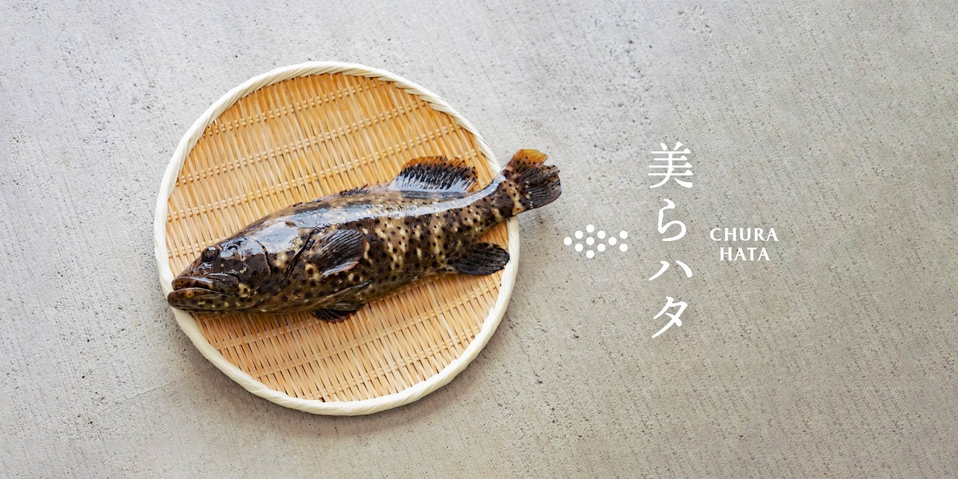 琉球大学と共同開発した「美らハタ」をCRAFT FISHで販売開始のサブ画像2