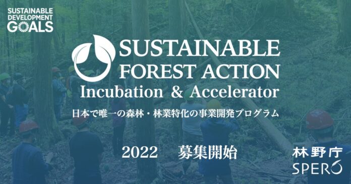 日本唯一の、森林・林業特化型インキュベーションプログラム&アクセラレーター『SUSTAINABLE FOREST ACTION 2022』募集開始！8月14日〆切のメイン画像