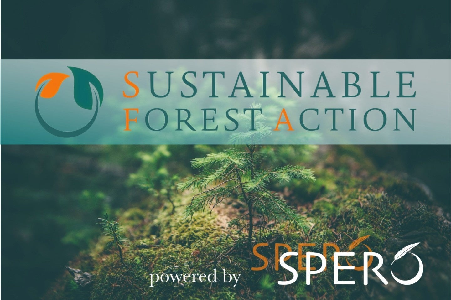 日本唯一の、森林・林業特化型インキュベーションプログラム&アクセラレーター『SUSTAINABLE FOREST ACTION 2022』募集開始！8月14日〆切のサブ画像10