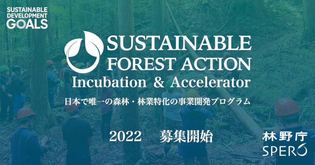 日本唯一の、森林・林業特化型インキュベーションプログラム&アクセラレーター『SUSTAINABLE FOREST ACTION 2022』募集開始！8月14日〆切のサブ画像6