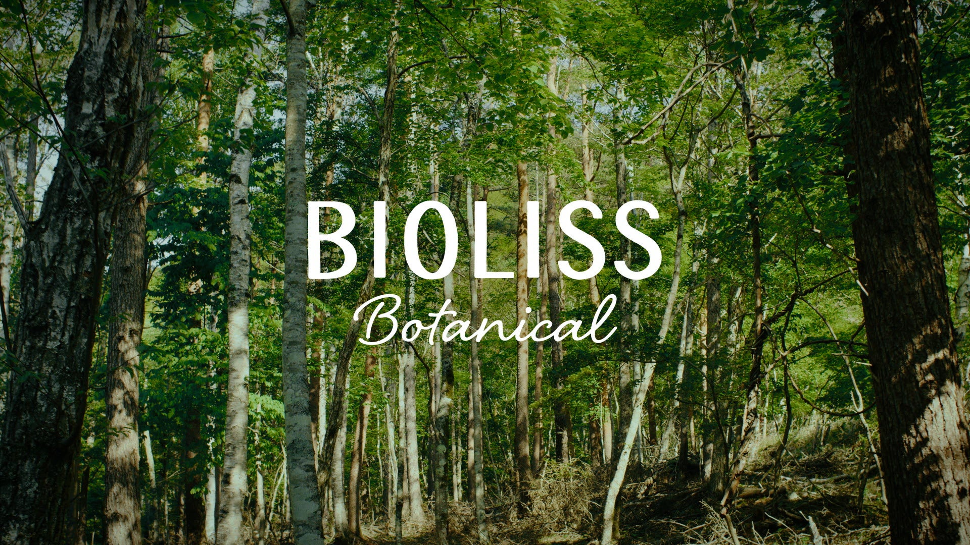 「BIOLISS PEACEFUL GREEN」プロジェクト※１「ビオリスの森」づくり、植樹活動を開始のサブ画像5