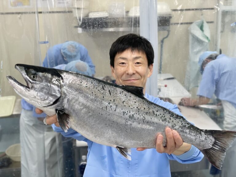 函館発の鮮魚の目利き マルヒラ川村水産の地域に根ざした「持続可能な調達」実現の支援を開始しますのメイン画像