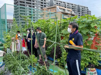 小学校の屋上農園「野菜の森」で、夏野菜の収穫100キロチャレンジ！のメイン画像