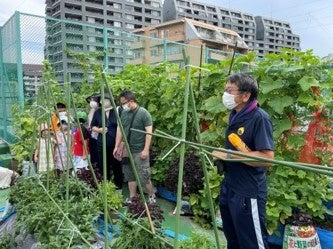小学校の屋上農園「野菜の森」で、夏野菜の収穫100キロチャレンジ！のサブ画像1