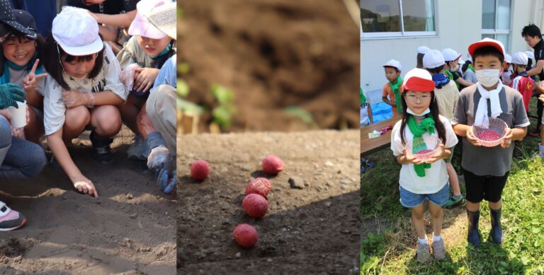 【相模原市】市内小学校の3年生が「幻の大豆」を育てますのメイン画像