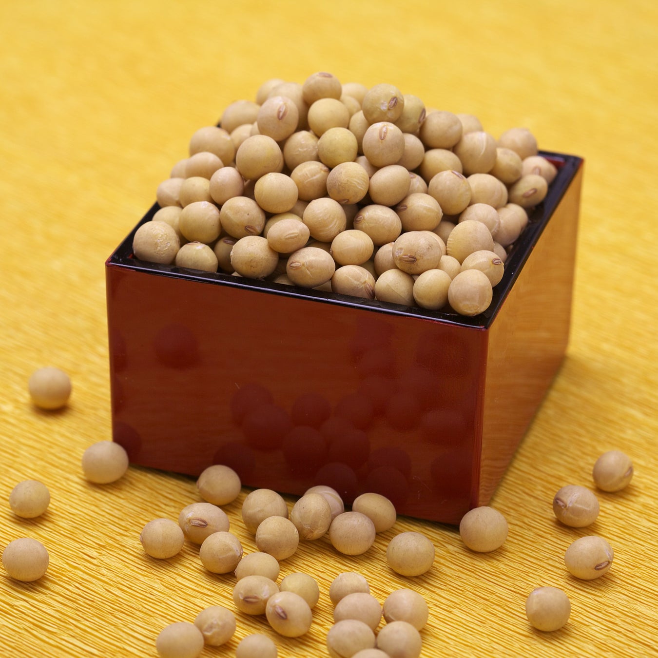 【相模原市】市内小学校の3年生が「幻の大豆」を育てますのサブ画像9
