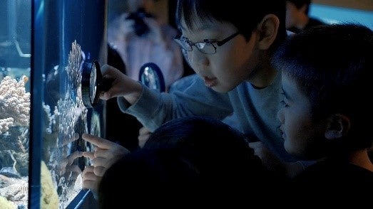 サザエさん×海と日本プロジェクト　海の環境問題や生物を学べる親子・子ども向けイベント　イトーヨーカドー店舗で順次開催のサブ画像7