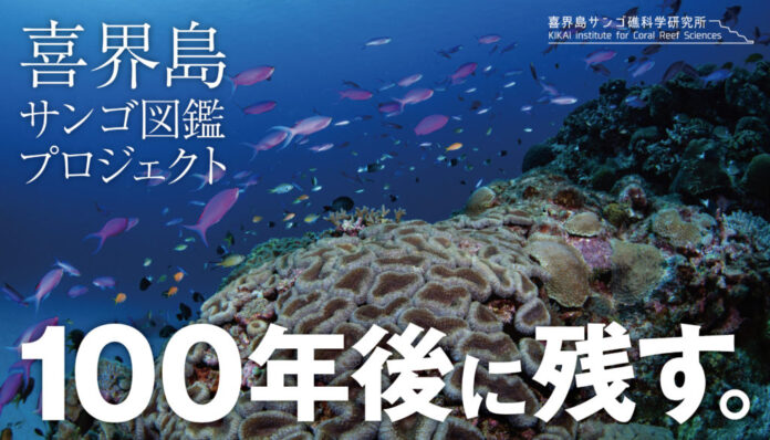喜界島の”今“を記録したサンゴ図鑑完成！のメイン画像