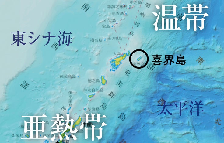 喜界島の”今“を記録したサンゴ図鑑完成！のサブ画像2