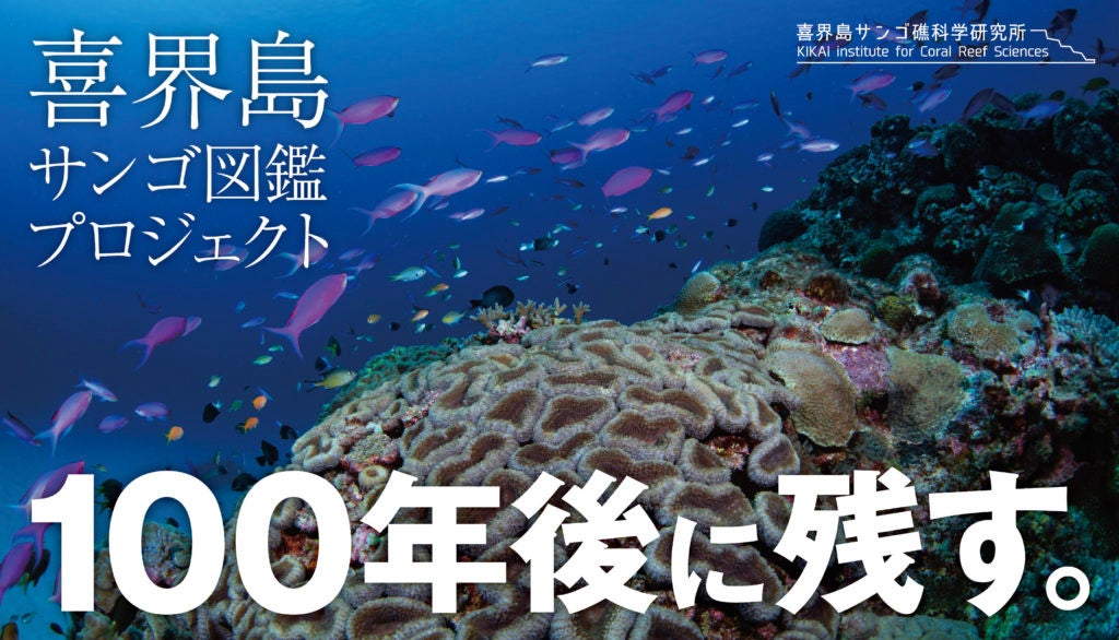 喜界島の”今“を記録したサンゴ図鑑完成！のサブ画像4