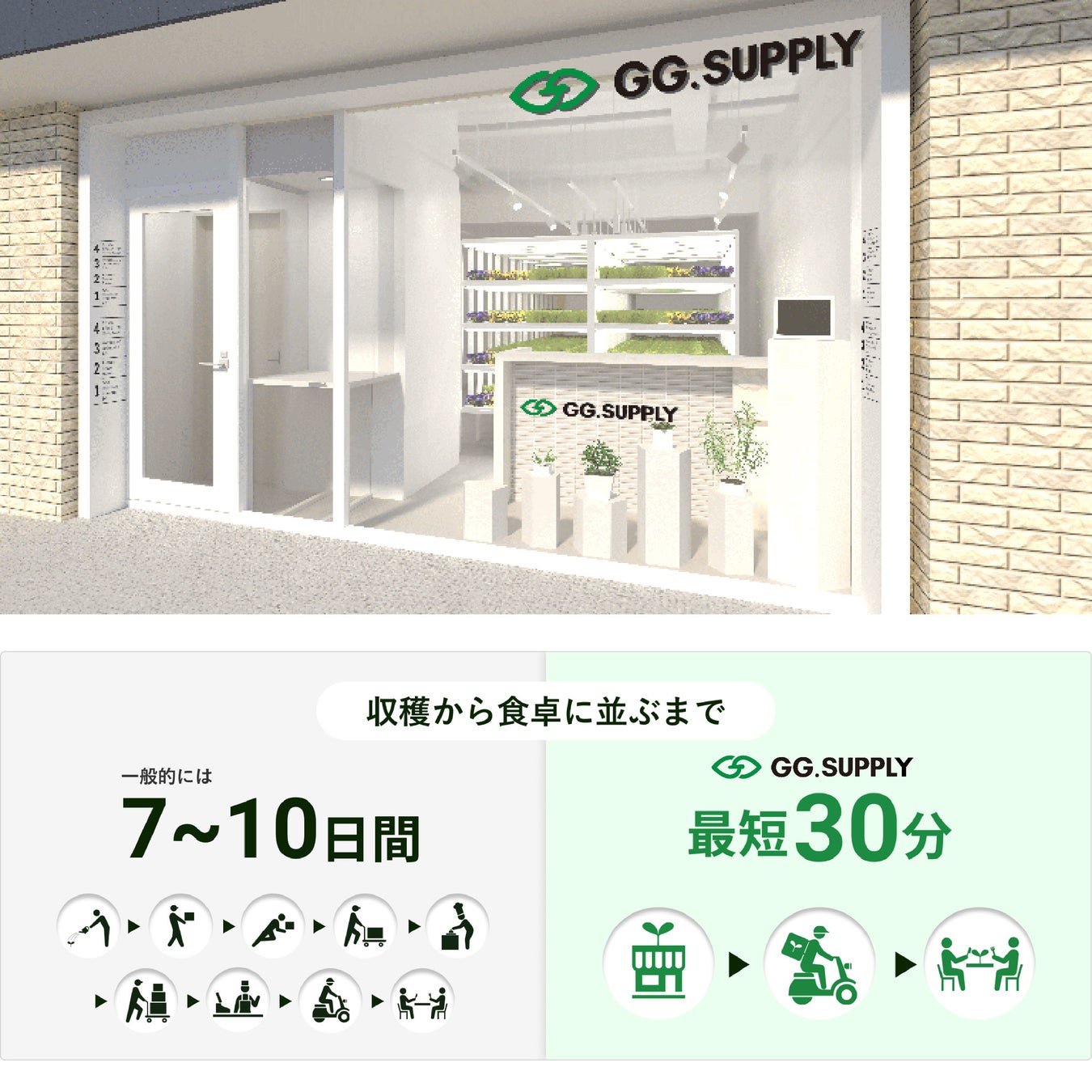 【蔦屋書店×GG.SUPPLY】都会の「HATAKE」が福岡六本松の蔦屋書店に登場！のサブ画像4_野菜物流を30分に短縮する都会のHATAKE