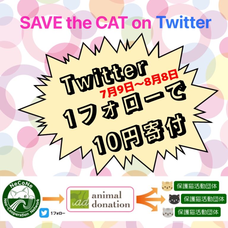 『 SAVE the CAT on Twitter !! 』 フォローが1０円の寄付になる、ネコネ＊アニドネによるコラボレーション寄付企画がスタートしました！！のメイン画像