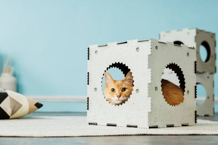 【猫のおもちゃもサステナブルに】再生紙から生まれた猫用遊具が新発売！多様化するライフスタイルにも考慮したデザインのメイン画像