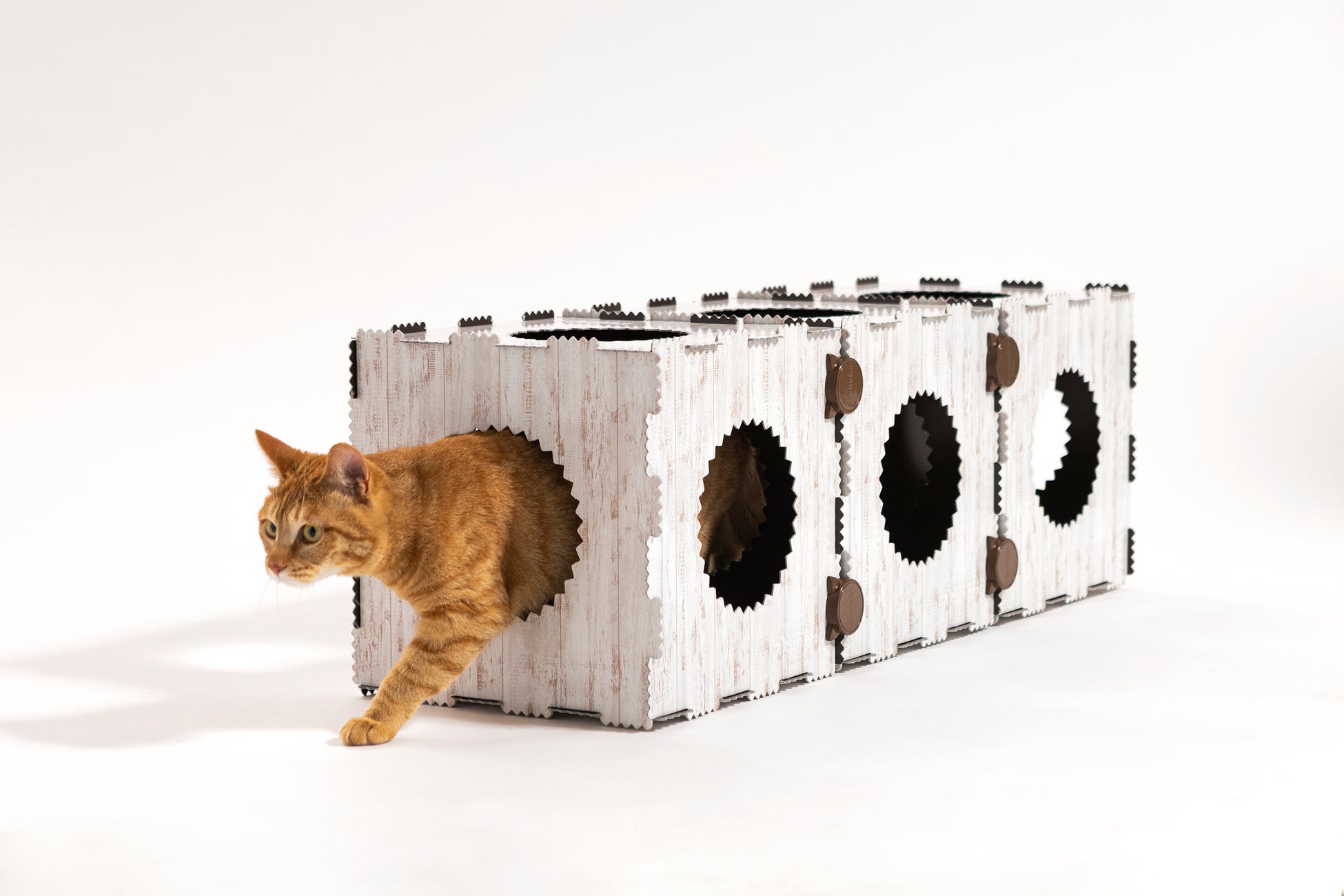 【猫のおもちゃもサステナブルに】再生紙から生まれた猫用遊具が新発売！多様化するライフスタイルにも考慮したデザインのサブ画像12