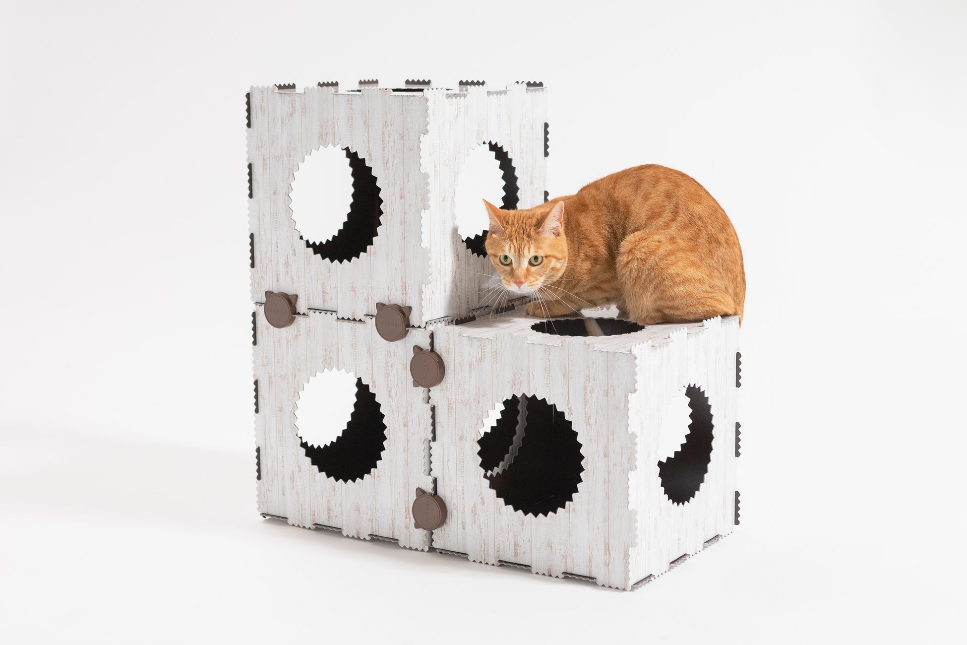 【猫のおもちゃもサステナブルに】再生紙から生まれた猫用遊具が新発売！多様化するライフスタイルにも考慮したデザインのサブ画像2