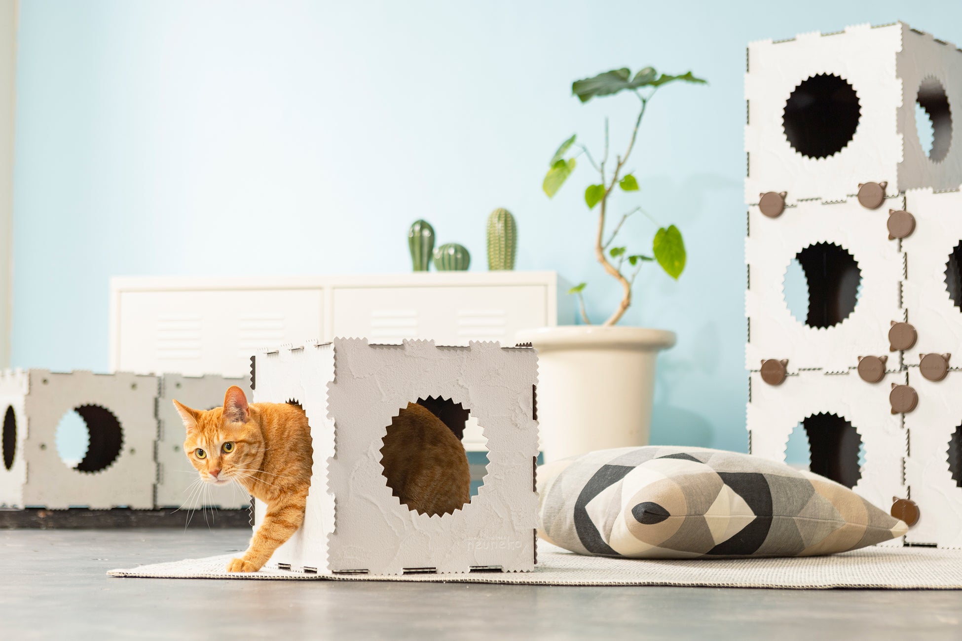 【猫のおもちゃもサステナブルに】再生紙から生まれた猫用遊具が新発売！多様化するライフスタイルにも考慮したデザインのサブ画像9