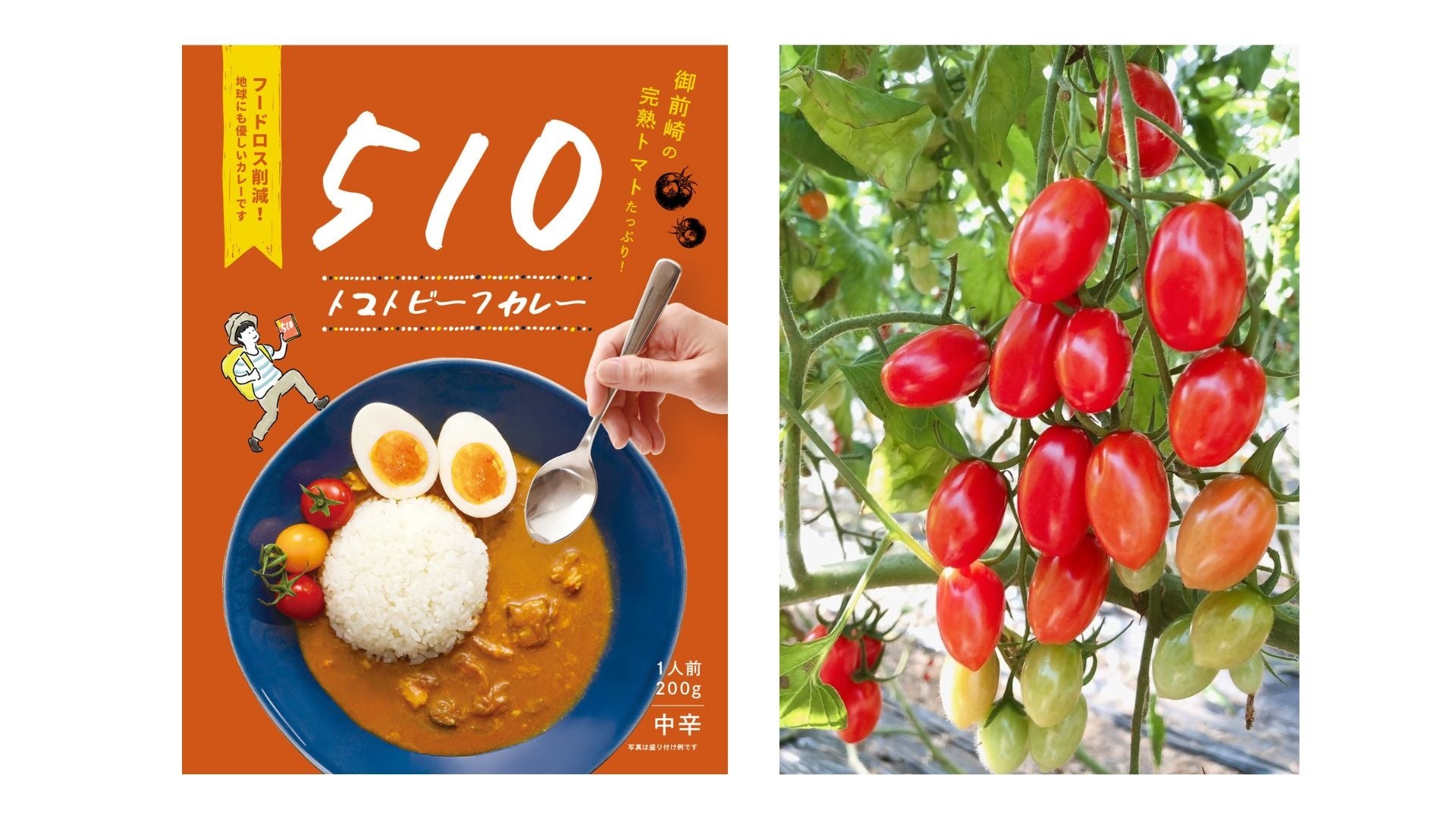 MOTTAINAI BATON、レトルトカレーでフードロスを削減  静岡県の後藤農園が栽培した規格外のミニトマト約3000個を使用したレトルトカレーを7月7日より発売中のサブ画像1