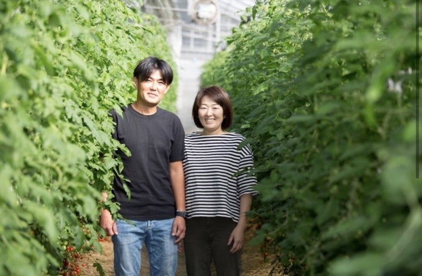 MOTTAINAI BATON、レトルトカレーでフードロスを削減  静岡県の後藤農園が栽培した規格外のミニトマト約3000個を使用したレトルトカレーを7月7日より発売中のサブ画像2