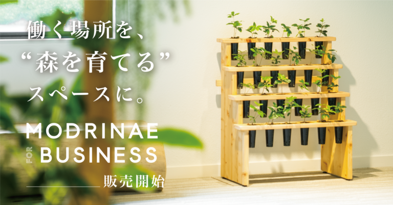 働く場所を森を育てる場所にする、植物インテリア「MODRINAE FOR BUSINESS」販売開始。のメイン画像