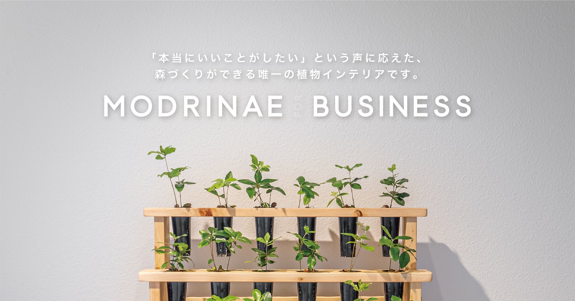 働く場所を森を育てる場所にする、植物インテリア「MODRINAE FOR BUSINESS」販売開始。のサブ画像2