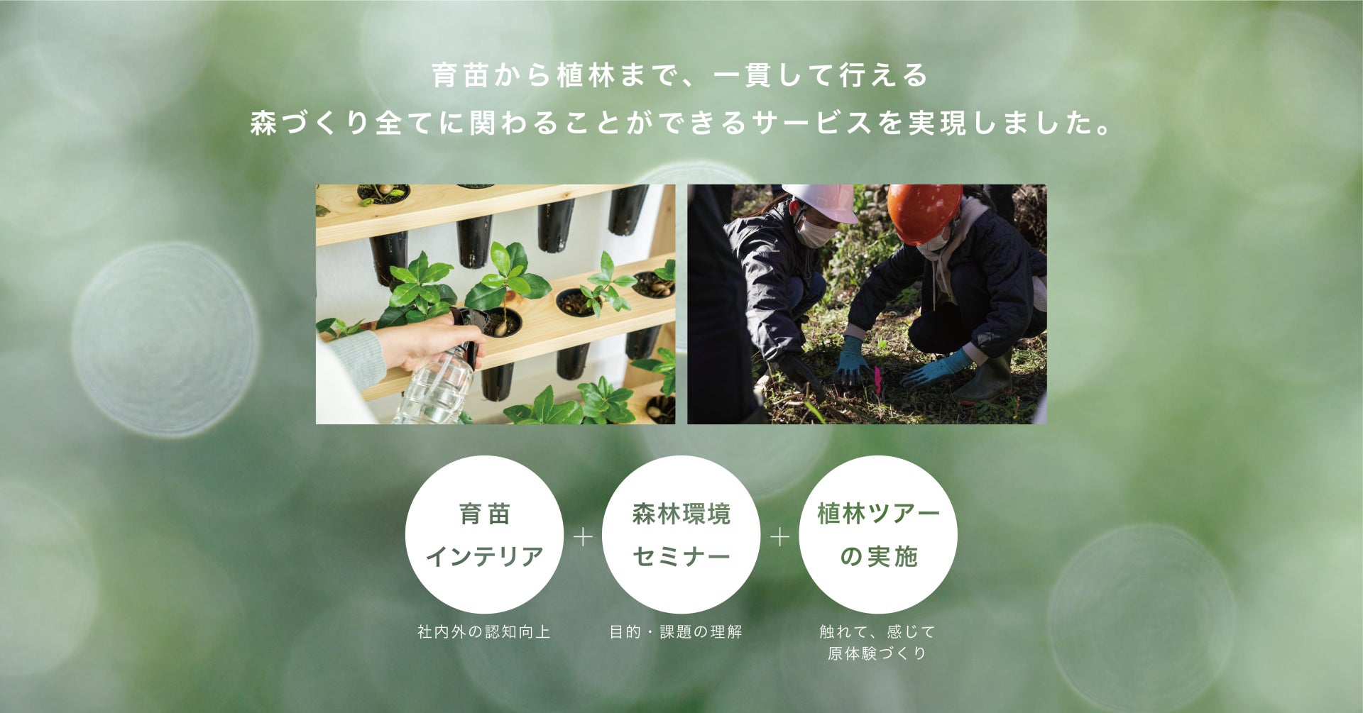 働く場所を森を育てる場所にする、植物インテリア「MODRINAE FOR BUSINESS」販売開始。のサブ画像3