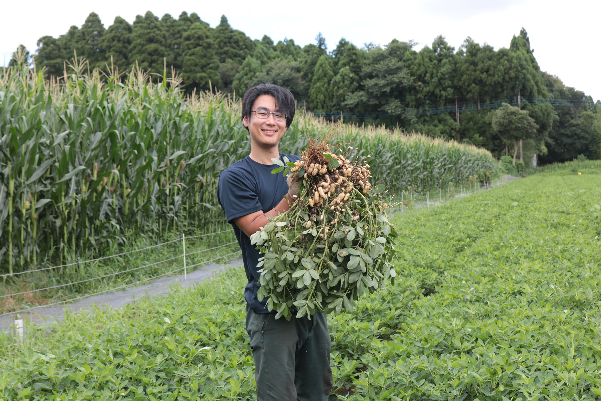 「あんばい農園」の完熟・適熟生落花生が出荷開始　SDGsな栽培で、唯一無二のブランドへのサブ画像7