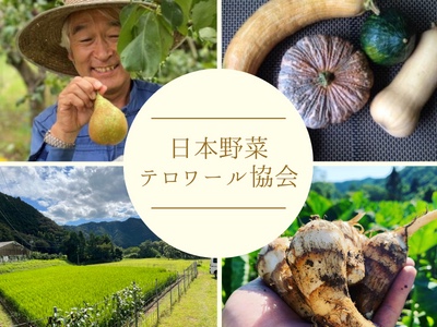 8/31野菜の日　サステナブル な土地と野菜を目指して。一般社団法人日本野菜テロワール協会が誕生！のメイン画像
