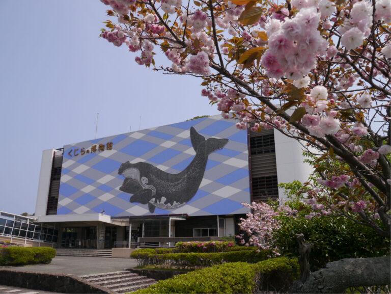 太地町立くじらの博物館に和歌山県内初「mamaro™️」導入のメイン画像