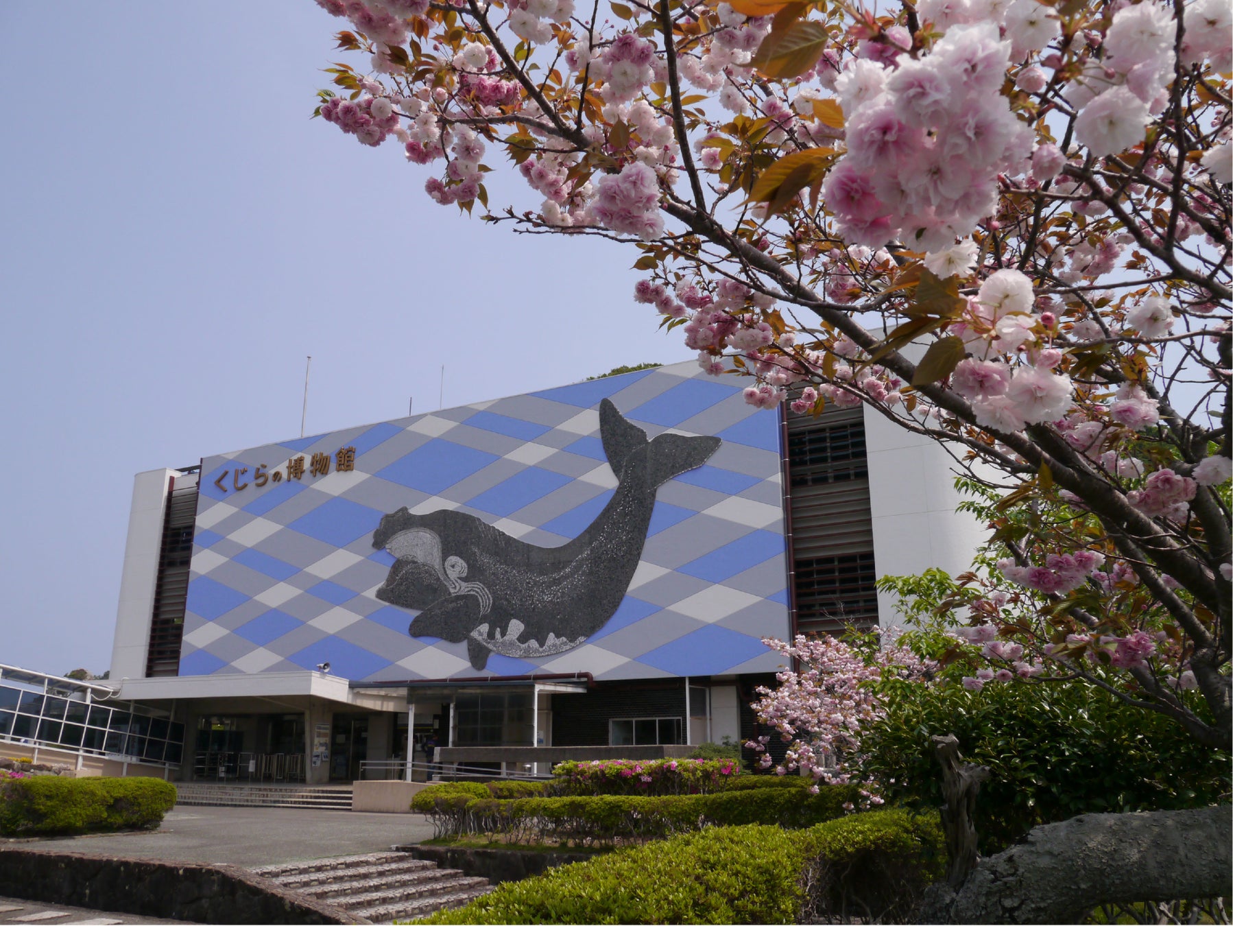 太地町立くじらの博物館に和歌山県内初「mamaro™」導入のサブ画像1_太地町立くじらの博物館
