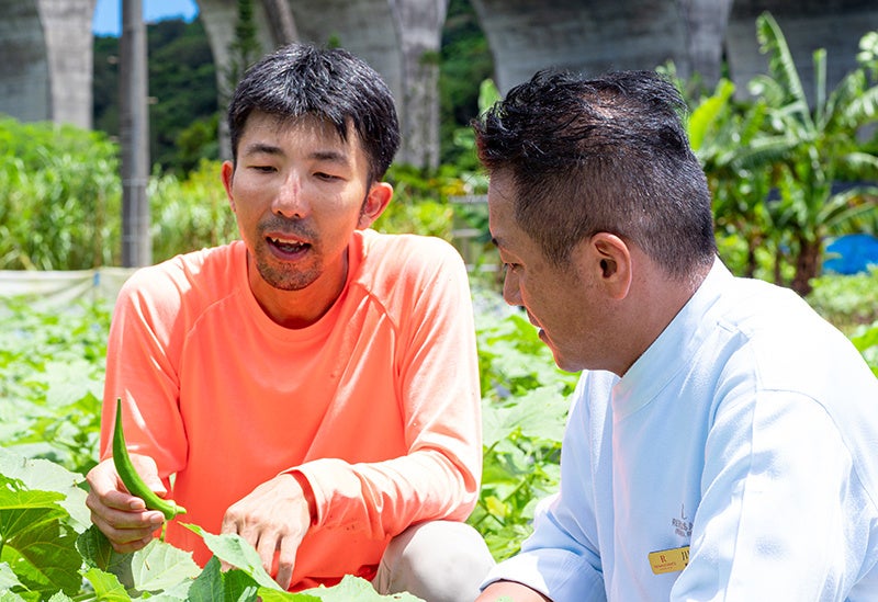 【シェフの一皿～FARM to TABLE】SDGsコラボレーション～地元農家さんとシェフ8名による夏の沖縄スペシャル料理とスイーツ。のサブ画像10
