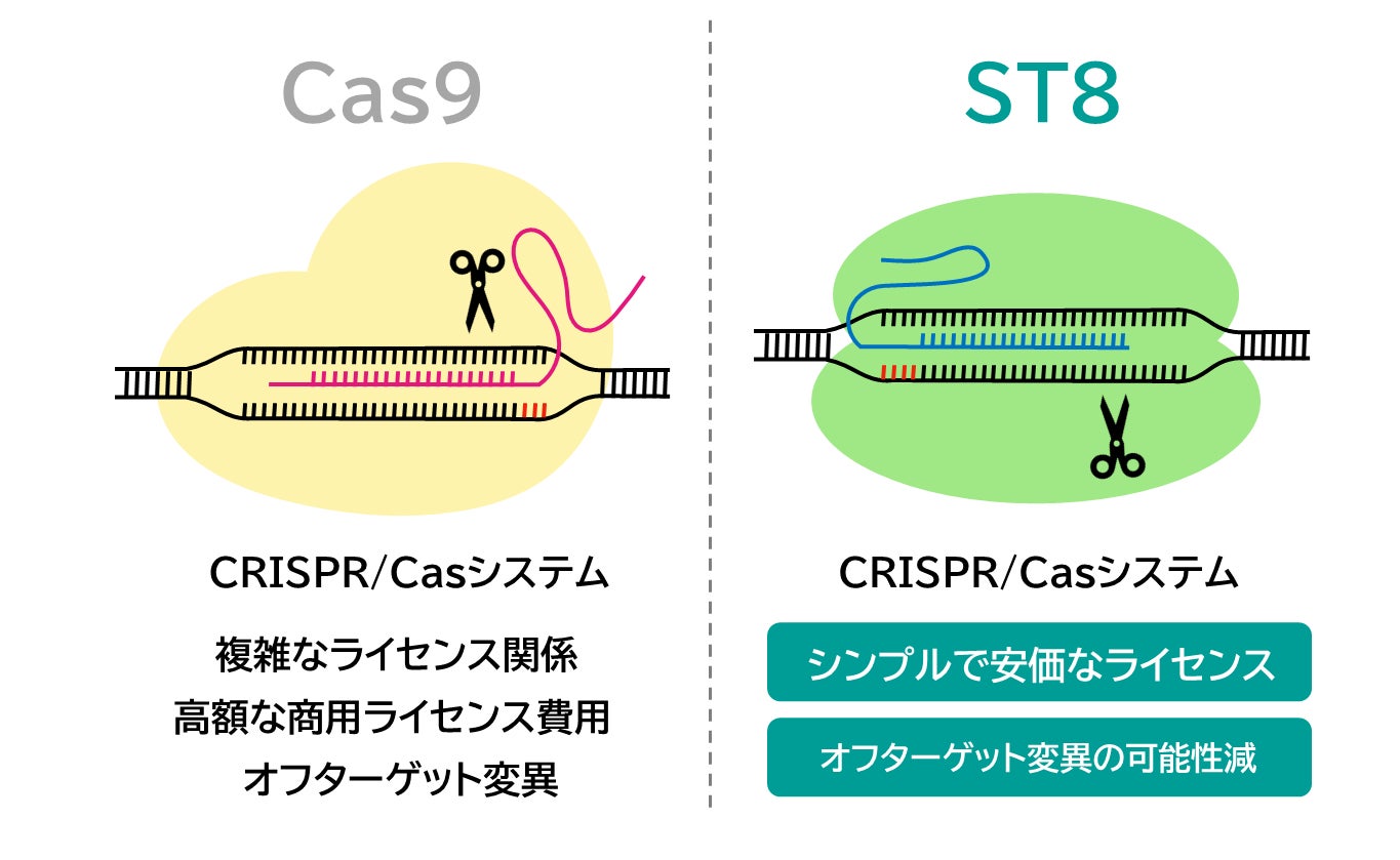 ST8がゲノム編集技術の産業利用へ道を開く！のサブ画像2