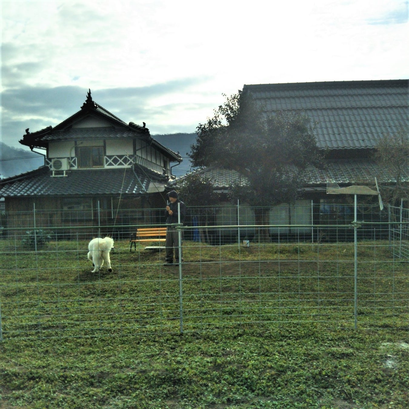 STAY JAPAN アフィリエイトプログラム開始！最高の田舎体験をシェアしませんか？のサブ画像6