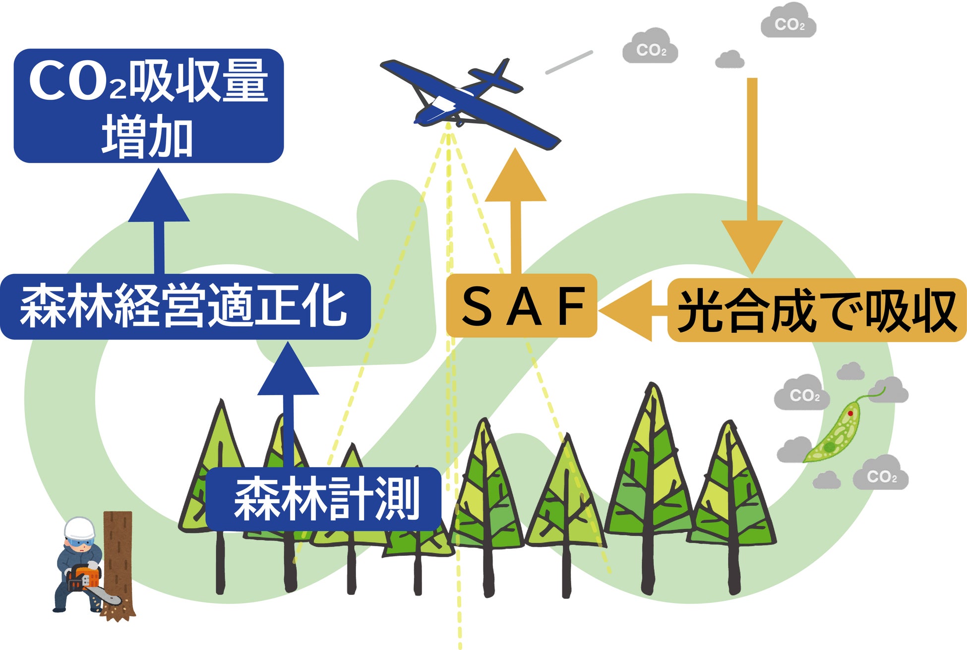SAFによる「森林資源計測業務（岩手県遠野市受託案件）」および調布飛行場”初”の運航実施のサブ画像4