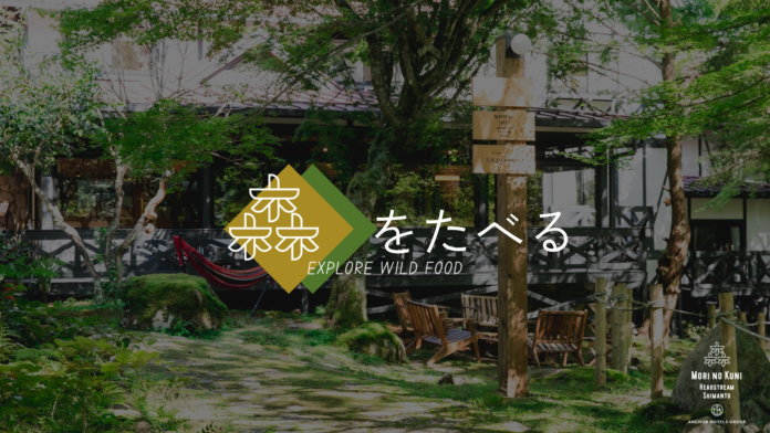 SELVAGGIO x Chef’s Roomスペシャルコラボ企画第二弾。愛媛県松野町「森の国」の隠れた秋の味覚を掘り起こす「森をたべる野生コース（海・山）」が3日間限定で登場！のメイン画像