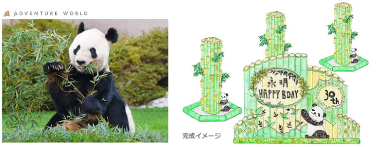 HAPPY PANDA FES２０２２ジャイアントパンダ「永明（えいめい）」３０歳の誕生日を竹あかりでお祝い！のメイン画像