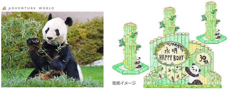 HAPPY PANDA FES２０２２ジャイアントパンダ「永明（えいめい）」３０歳の誕生日を竹あかりでお祝い！のサブ画像1