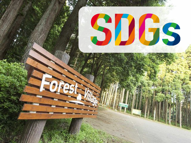 【TSSキッズ】森の中で遊ぶSDGs体験キャンプのメイン画像